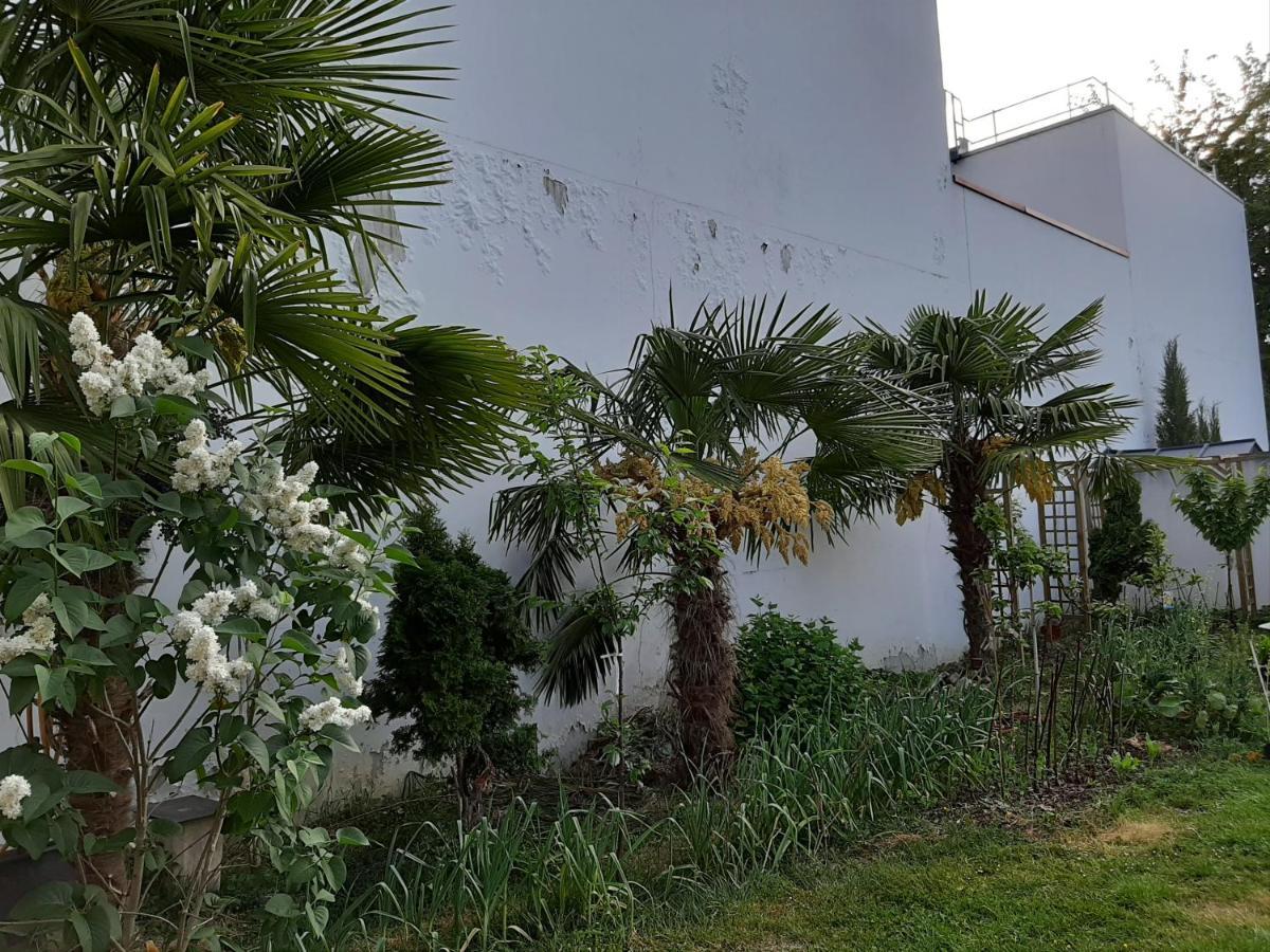 3 Private Rooms Shared Flat In A Villa At Sceaux 600M Rer B Direct To Notre-Dame المظهر الخارجي الصورة
